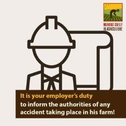 It is your employer’s duty to inform authorities of any accident taking place in his farm