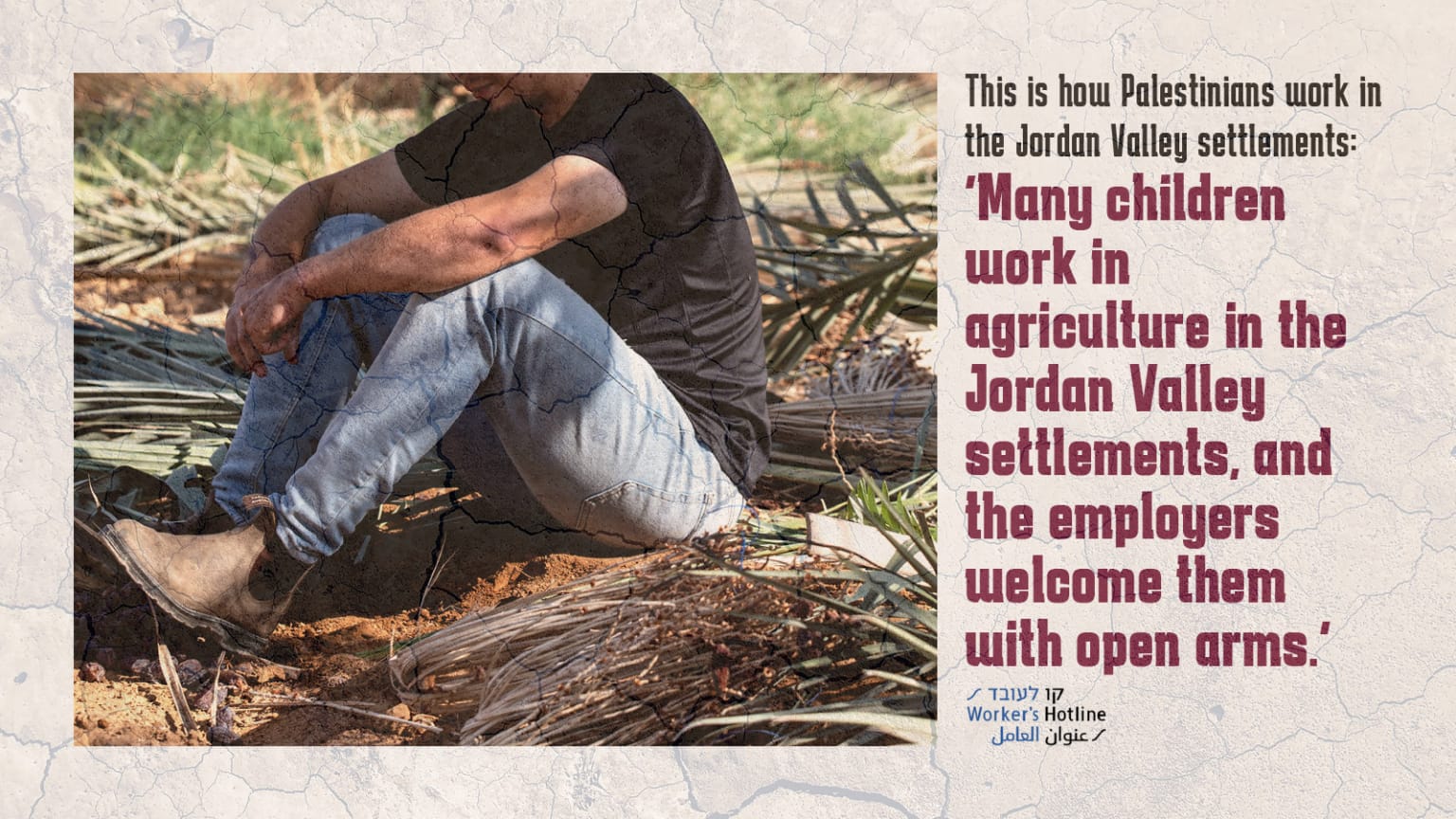 “Many children work in agriculture in the Jordan Valley settlements, and the employers welcome them with open arms”